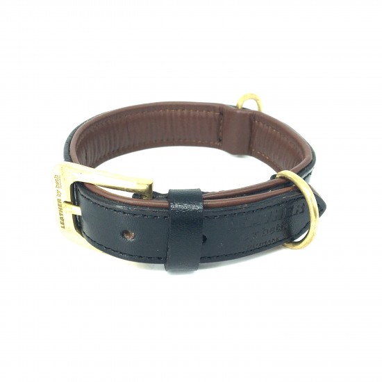 Citywalk dog collar...