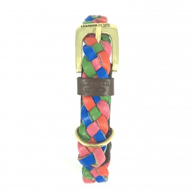 Miniflet Hundehalsband Regenbogen, dänisches Design