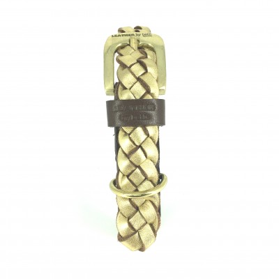 MINIFLET hundehalsbånd, guld