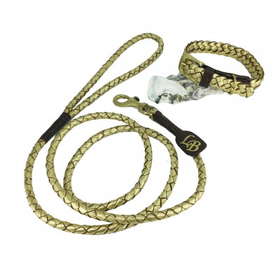 Miniflet, gold dog leash