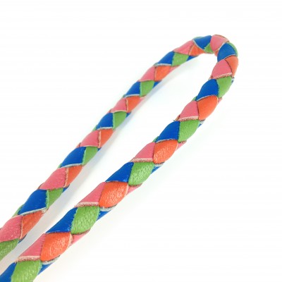 Miniflet, rainbow dog leash