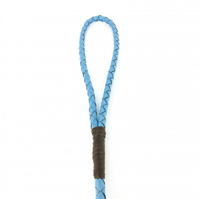 Miniflet, Hellblau Hundeleine