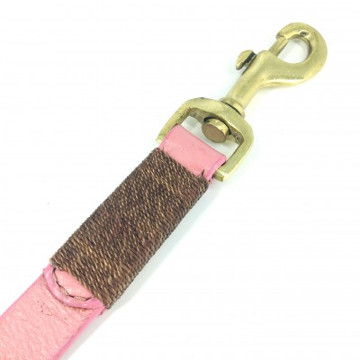 Smile at me dog leash