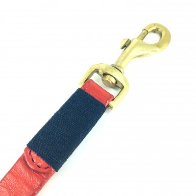 Smile at me dog leash