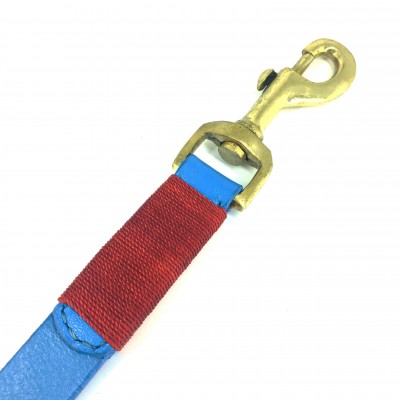 Smile at me dog leash