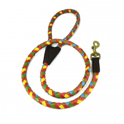 Maxiflet, rainbow dog leash