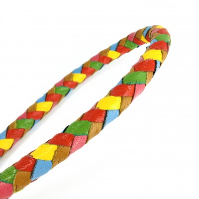Maxiflet, rainbow dog leash