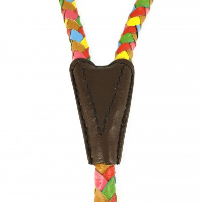 Maxiflet, rainbow dog leash