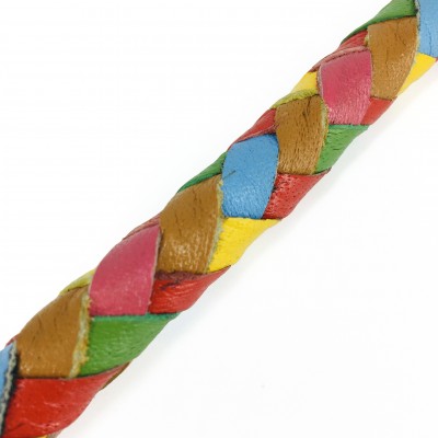 Maxiflet, rainbow dog leash
