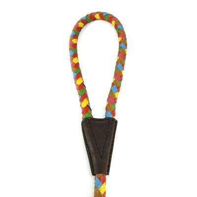Maxiflet, rainbow dog leash