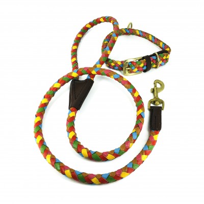 Maxiflet dog collar rainbow, danish design