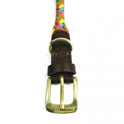 Maxiflet dog collar rainbow, danish design