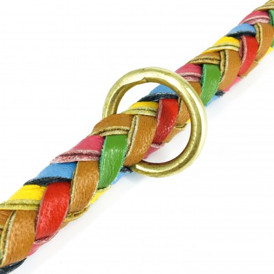 Maxiflet dog collar rainbow, danish design