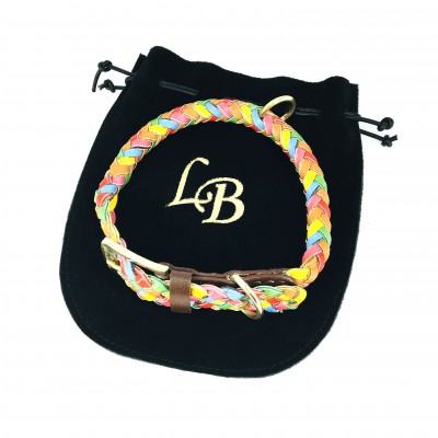 Maxiflet dog collar rainbow, danish design