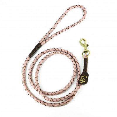 Miniflet, pink dog leash