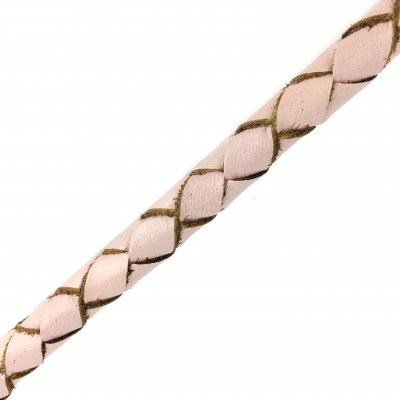 Miniflet, pink dog leash