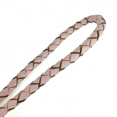 Miniflet, pink dog leash