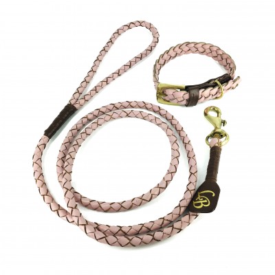 Miniflet, pink dog leash