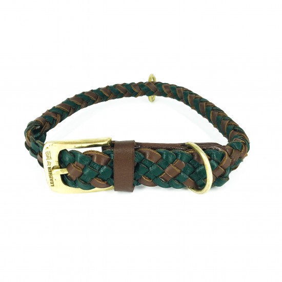 Maxiflet dog collar...