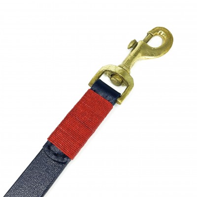 Smile at me dog leash
