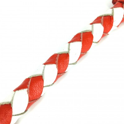 Maxiflet DK, red/white dog leash