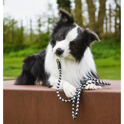 Maxiflet, black/silver dog leash