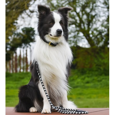 Maxiflet, black/silver dog leash