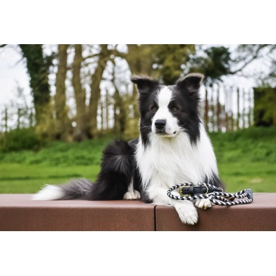 Maxiflet, black/silver dog leash