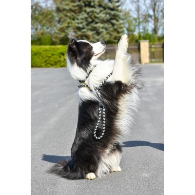 Maxiflet, black/silver dog leash