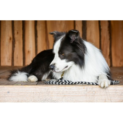 Maxiflet, black/silver dog leash
