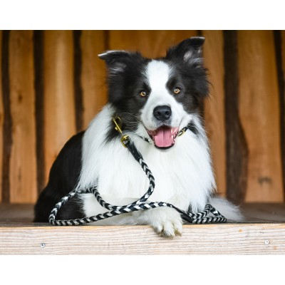 Maxiflet, black/silver dog leash