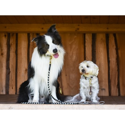 Maxiflet, black/silver dog leash
