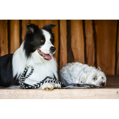 Maxiflet, black/silver dog leash