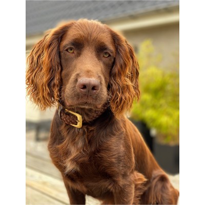 Maxiflet dog collar cognac, danish design