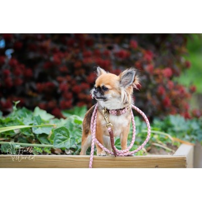 Miniflet dog collar pink, danish design