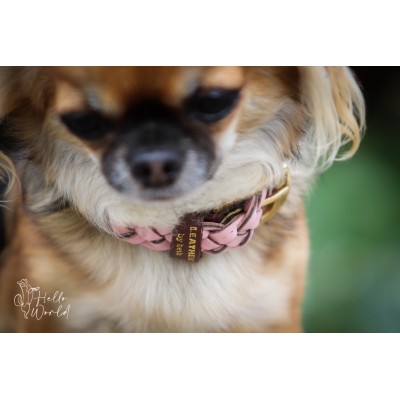 Miniflet Hundehalsband Rosa, dänisches Design