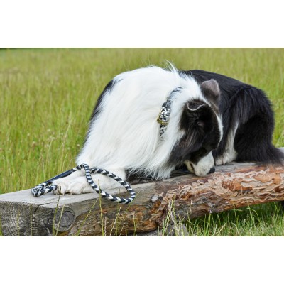 Maxiflet dog collar black/silver, danish design