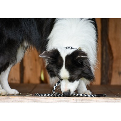 MAXIFLET hundehalsbånd, sort/sølv