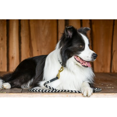 MAXIFLET hundehalsbånd, sort/sølv