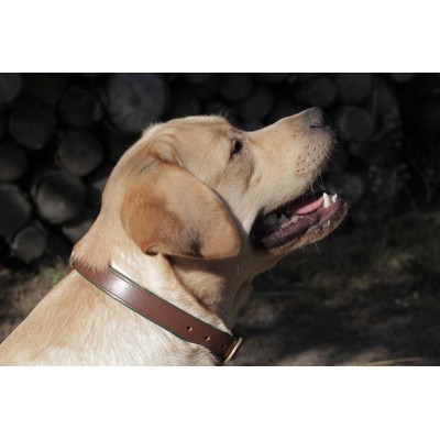 Citywalk dog collar cognac/darkgreen, danish design