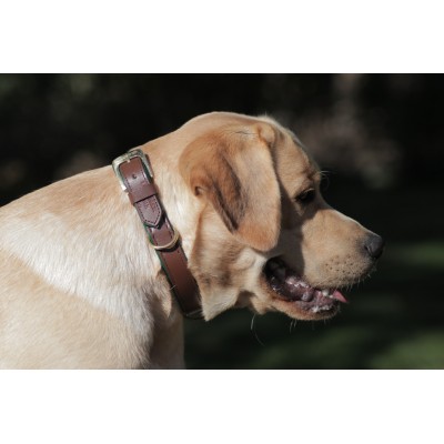 Citywalk dog collar cognac/darkgreen, danish design