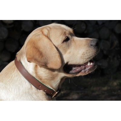 Citywalk dog collar cognac/darkgreen, danish design