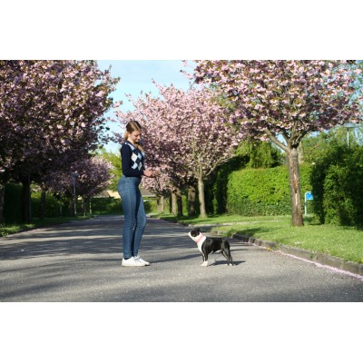 'SMILE AT ME' Hundehalsband Pink/Braun, dänisches Design