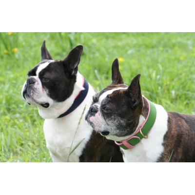 'SMILE AT ME' Hundehalsband Pink/Braun, dänisches Design