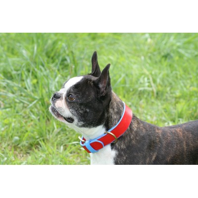 'SMILE AT ME' Hundehalsband Rot/Hellblau, dänisches Design