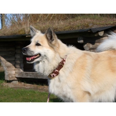 Maxiflet dog collar cognac/pink, danish design