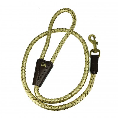 Maxiflet, Gold Hundeleine