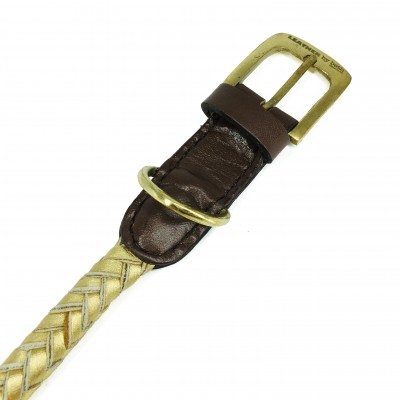 Maxiflet Hundehalsband Gold, dänisches Design