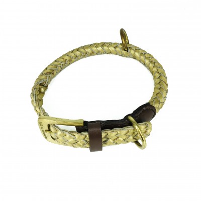 MAXIFLET hundehalsbånd, guld