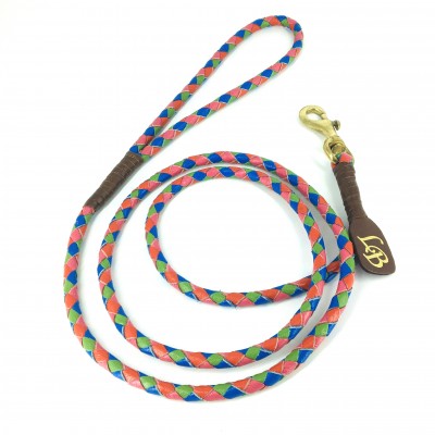 Miniflet Hundehalsband Regenbogen, dänisches Design